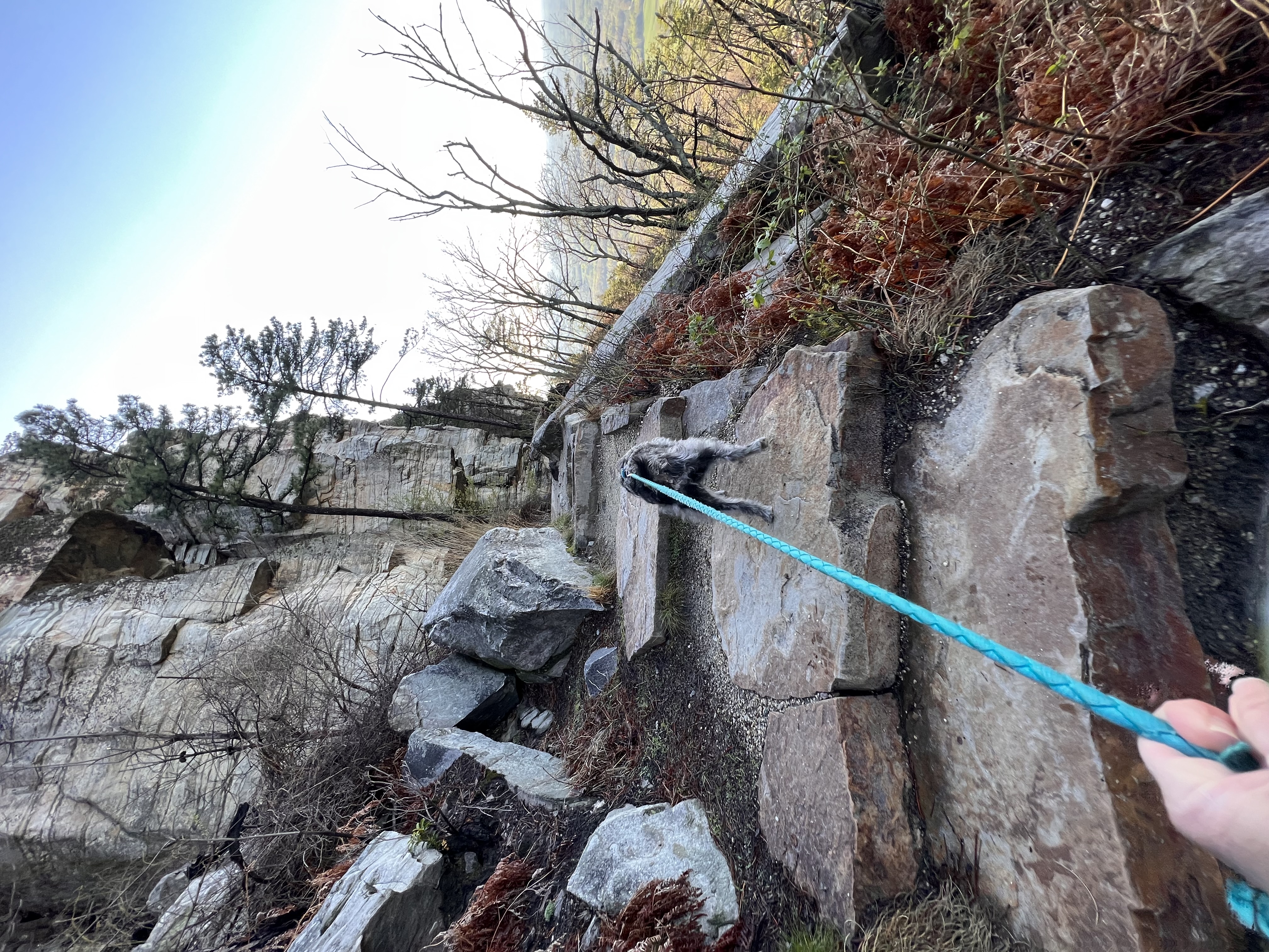 ./2023/05 - Toni Adventures/IMG_2941.JPG